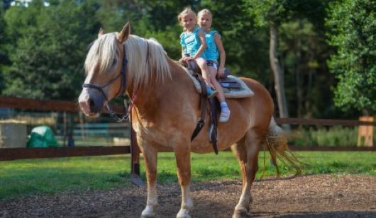 Zábavní park Šikland - letní pobyty